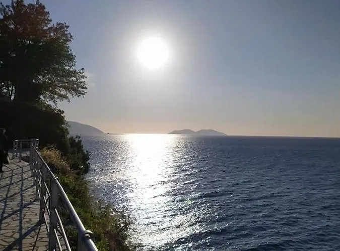 Aneta's House